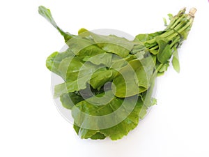 Leafy vegetable Spinach in isolated white background. Scientific name - Spinacia oleracea.Its leaves are a common edible vegetable photo
