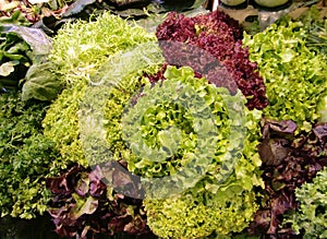 Leafy vegetables