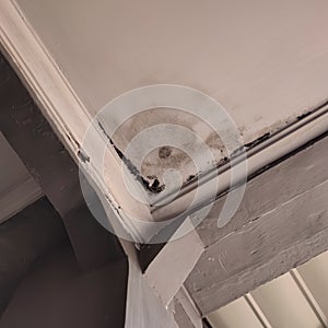 Leaking ceilling because leaking roof