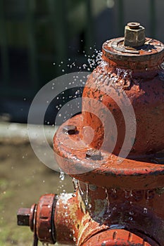 Leaking Fire Hydrant Spraying Water