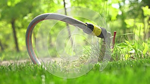 Leaking hose on the grass field. Hole in the pipe, pouring waste of water