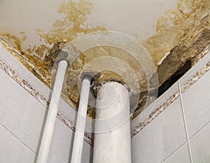 a leaking vintage ceiling covered with cracks and mold, indoor shot