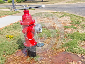 Leaky Fire Hydrant Valve or Cap and Wrench