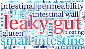 Leaky Gut Word Cloud