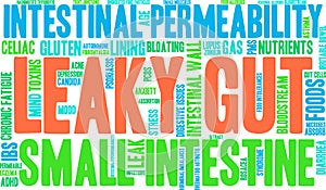 Leaky Gut Word Cloud