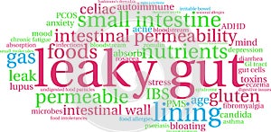 Leaky Gut Word Cloud