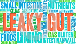 Leaky Gut Word Cloud