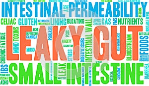 Leaky Gut Word Cloud