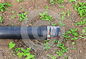 from a leaky pipe in farm land. from a rusty water pipe. Constant stream of water coming from a pipe