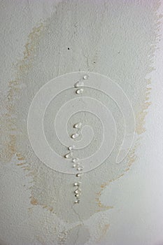 Leaky roof dampness in bedroom ceiling walls. Water droplets forming and dripping from damp ceiling from rain water flooding.