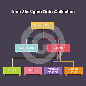 Lean Six Sigma Data Collection business vector illustration graphic