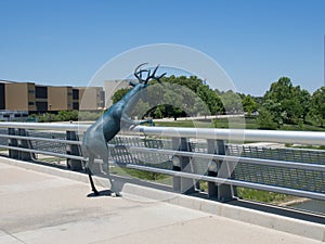 Leaning Deer Sculpture