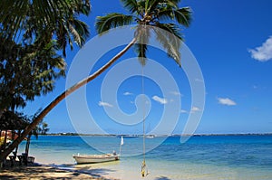 Leaning palm tree with rope swing at Pangaimotu island near Tong