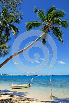 Leaning palm tree with rope swing at Pangaimotu island near Tong photo