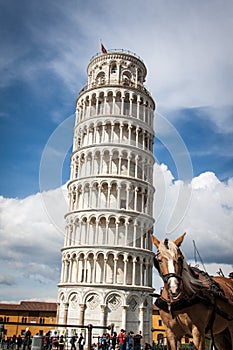 The leaning tower of Pisa with a horse in the foreground