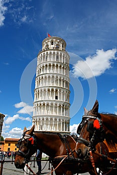 Leaning tower of Pisa with horses, Italy