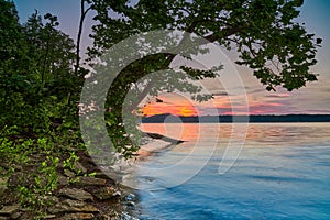 Leaning tree along the shoreline of Cave Run Lake, KY with setting sun