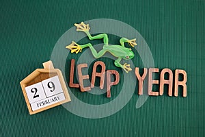 LEAP YEAR. Concept for date 29 month February