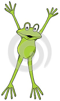 Leaping Frog photo