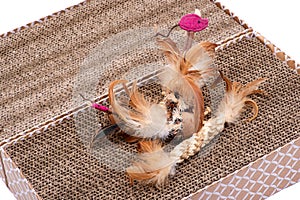 Leaps & Bounds Ball with Feather Cat Toy and Feather Sisal Hemp Rope Toy on reversible cat scratcher