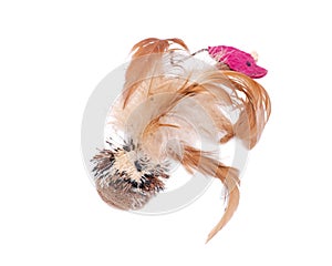 Leaps & Bounds Ball with Feather Cat Toy isolated on white