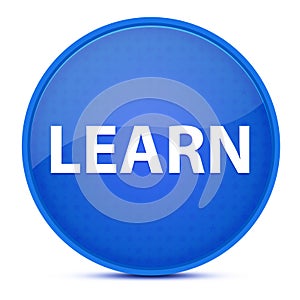 Learn aesthetic glossy blue round button abstract