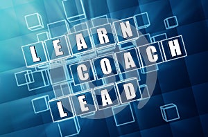 Learn, coach, lead in blue glass cubes