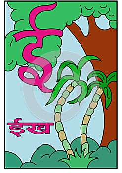 Learn hindi language alphabets for kindergarten preschool and beginners. Sugarcane cute cartoon.