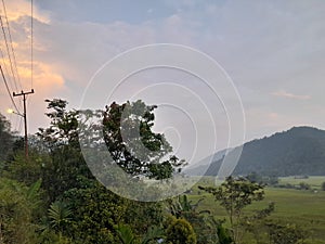 Learn from nature because nature can provide invaluable learning and beauty.& x22;