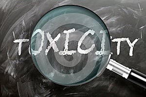 Learn, study and inspect toxicity - pictured as a magnifying glass enlarging word toxicity, symbolizes researching, exploring and