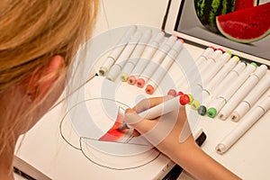 Learn to sketch with alcohol based sketch drawing markers for illustrators and graphic designers. Hand drawing Watermelon sketch photo