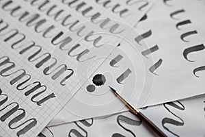 Learning calligraphy - paper with example and brush and ink