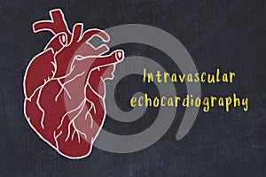 Learning cardio system concept. Chalk drawing of human heart and inscription Intravascular echocardiography