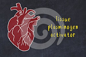 Learning cardio system concept. Chalk drawing of human heart and inscription Tissue plasminogen activator photo