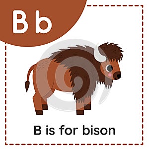Learning English alphabet for kids. Letter B. Cute cartoon bison.