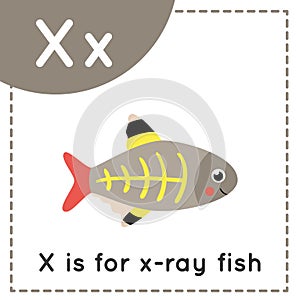 Learning English alphabet for kids. Letter X. Cute cartoon x ray fish.