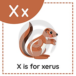 Learning English alphabet for kids. Letter x. Cute cartoon xerus.