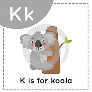 Learning English alphabet for kids. Letter K. Cute cartoon koala.