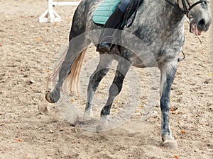 Learning Horseback Riding. Instructor teaches teen Equestrian.