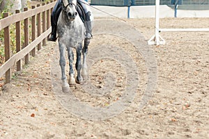 Learning Horseback Riding. Instructor teaches teen Equestrian.