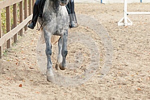 Learning Horseback Riding. Instructor teaches teen Equestrian.