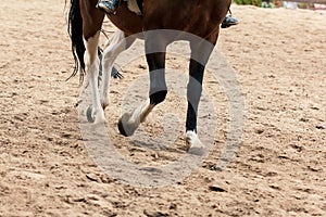 Learning Horseback Riding. Instructor teaches teen Equestrian