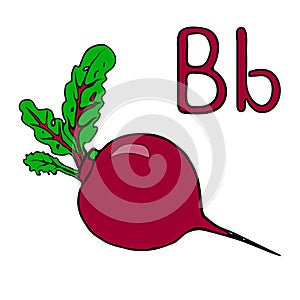 Learning letters letter B. Cartoon beet. Vector outline freehand drawing, sketch, vegetable, vitamins from the garden black lines