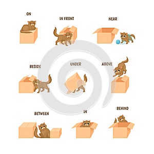 Learning prepositions. Topologia study language preposition, playful cartoon cat placed in box, place animal house