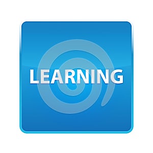 Learning shiny blue square button