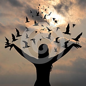 Learning to fly concept