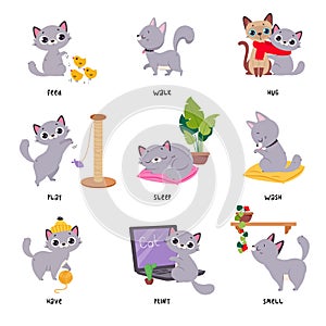 Learning Verbs of Action with Grey Cat Pet Vector Set