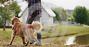 Leash, hands and man walking dog in nature outdoor, travel and journey together. Pet, walk and male person with golden