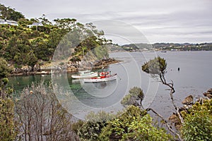 Leask Bay at Stewart Island or Rakiura in New Zealand.