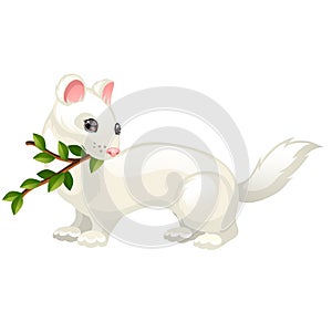 Least Weasel or Mustela nivalis and twig with leaves isolated on white background. Vector cartoon close-up illustration.